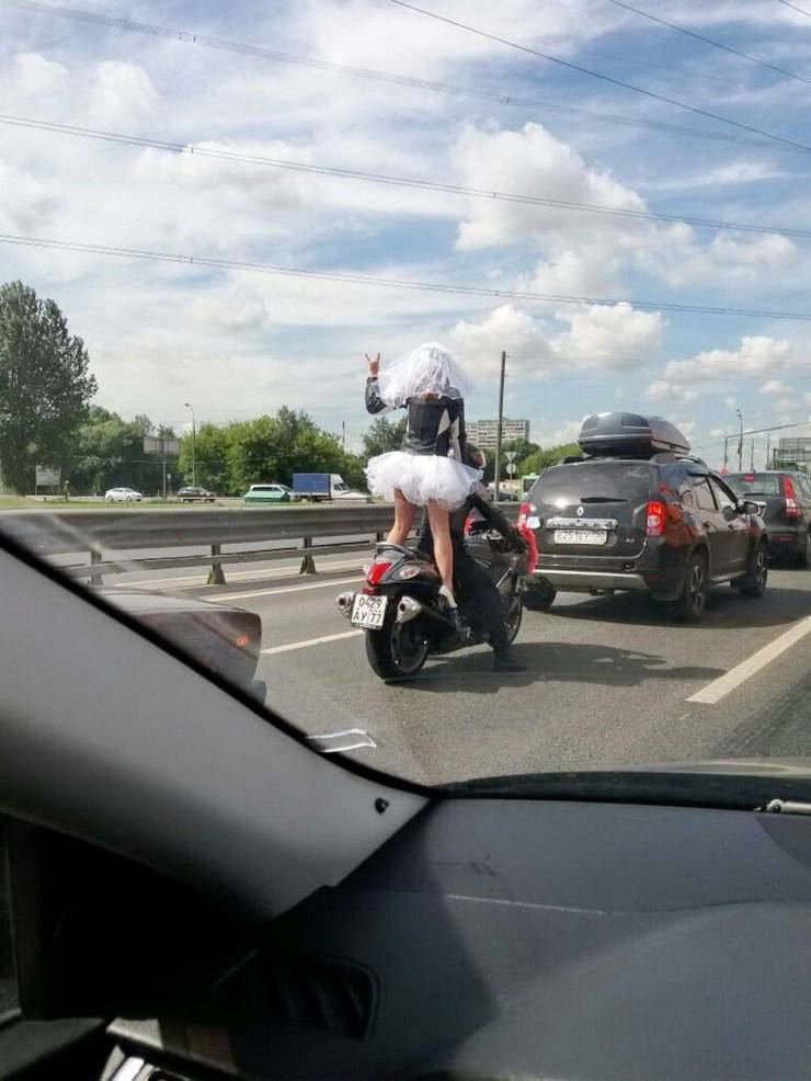Daily Picdump
