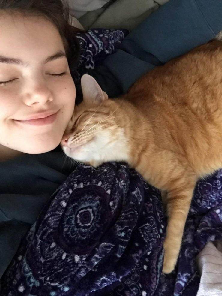 daily picdump 96 pics 39.html - 96 HD Photos | Premium Gallery 2019