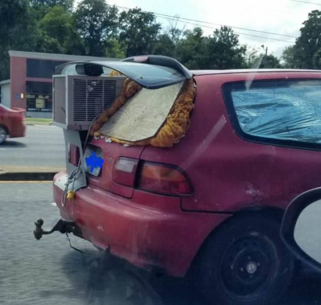 Daily Picdump