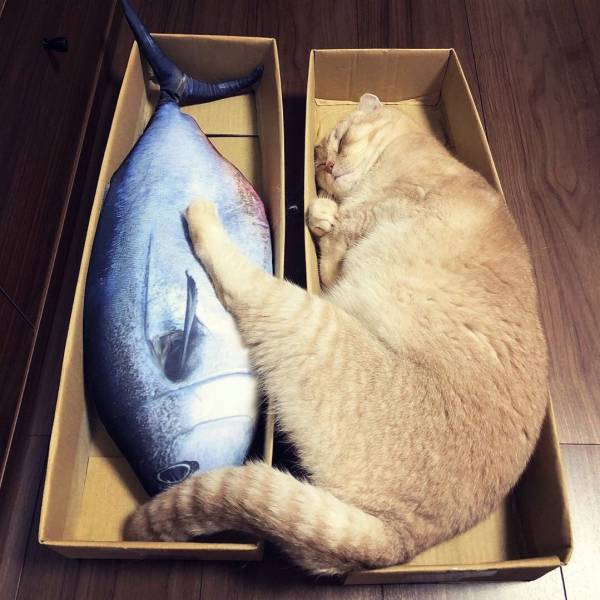 daily picdump 97 pics 33.html - 97 HD Photos | Premium Gallery 2019