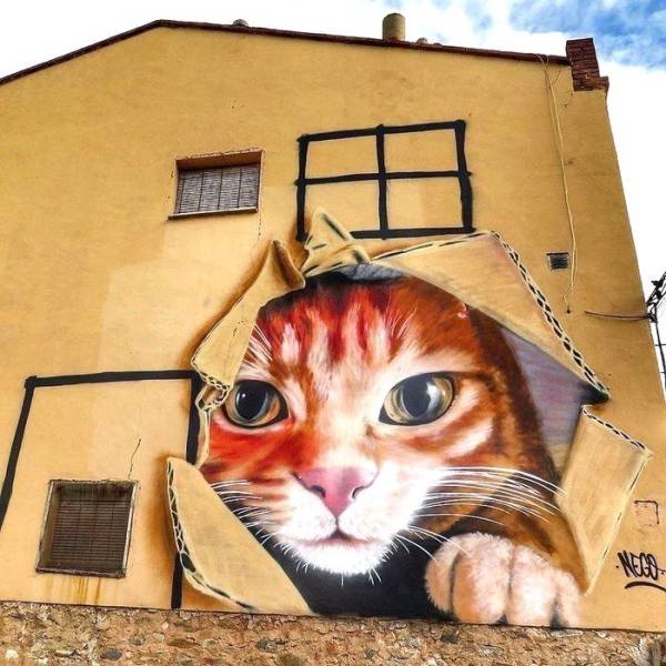 daily picdump 97 pics 33.html - 97 HD Photos | Premium Gallery 2019