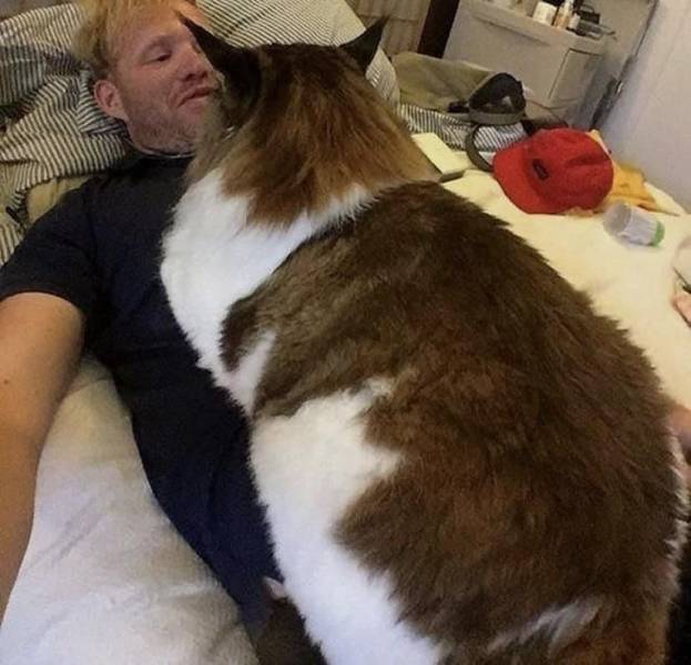 daily picdump 97 pics 33.html - 97 HD Photos | Premium Gallery 2019