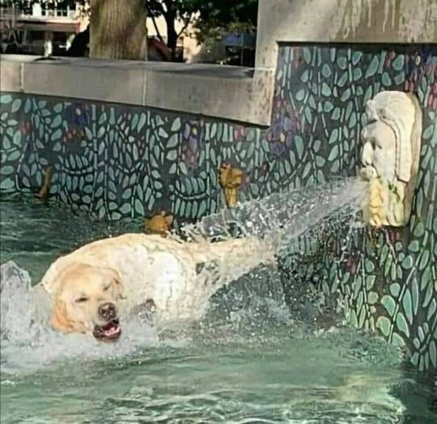 daily picdump 97 pics 33.html - 97 HD Photos | Premium Gallery 2019