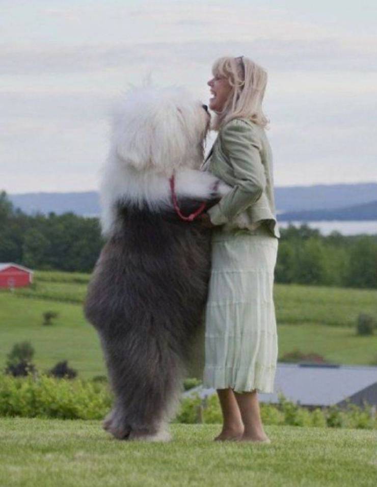 Daily Picdump