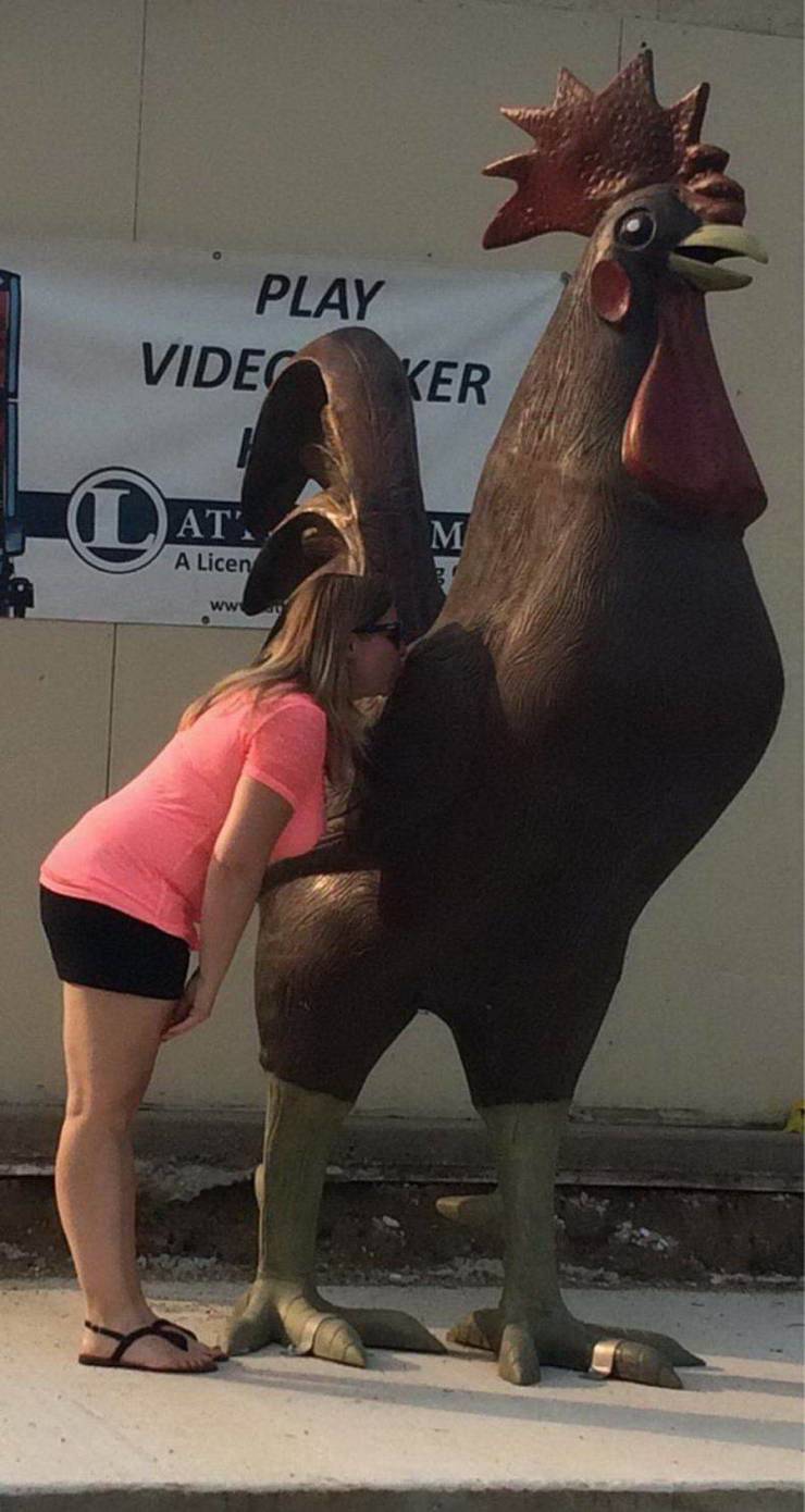 daily picdump 97 pics 33.html - 97 HD Photos | Premium Gallery 2019