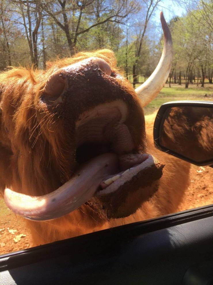 daily picdump 97 pics 33.html - 97 HD Photos | Premium Gallery 2019