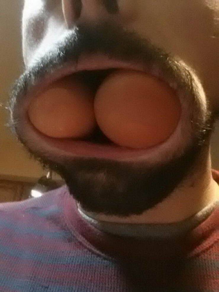 daily picdump 97 pics 33.html - 97 HD Photos | Premium Gallery 2019