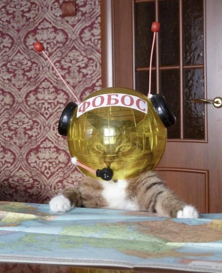 daily picdump 97 pics 33.html - 97 HD Photos | Premium Gallery 2019