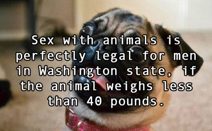 US Has Some Pretty F###ed Up Sex Laws…