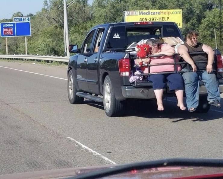 Daily Picdump