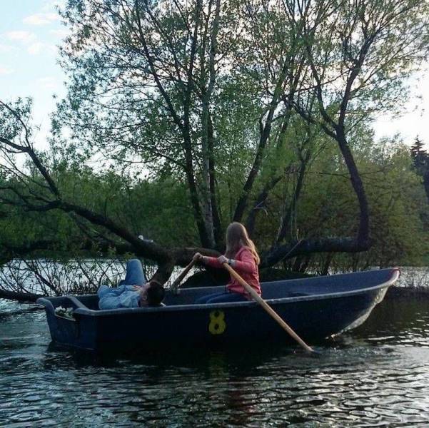 Daily Picdump