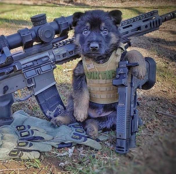 Daily Picdump