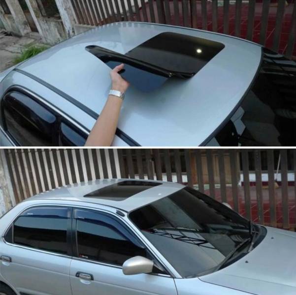 Daily Picdump