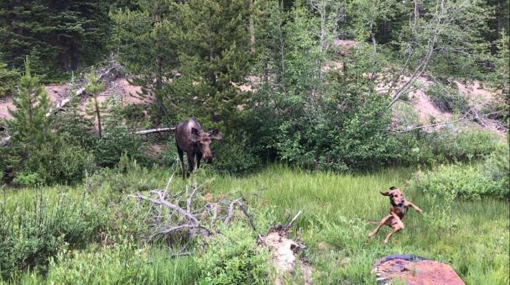 daily picdump 95 pics 2.html - 95 HD Photos | Premium Gallery 2019