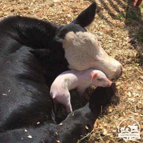 daily picdump 95 pics 2.html - 95 HD Photos | Premium Gallery 2019