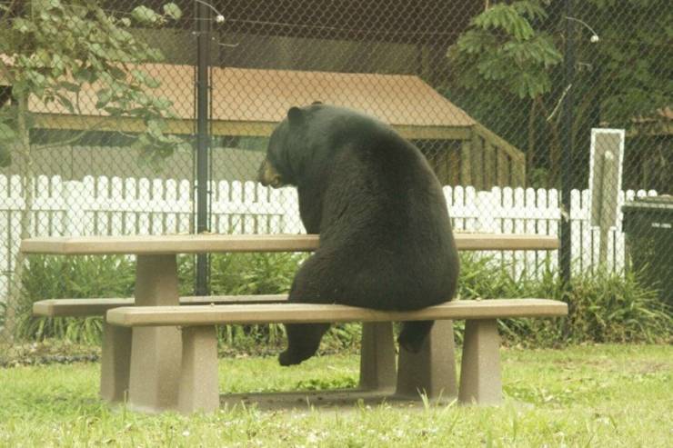 daily picdump 95 pics 2.html - 95 HD Photos | Premium Gallery 2019