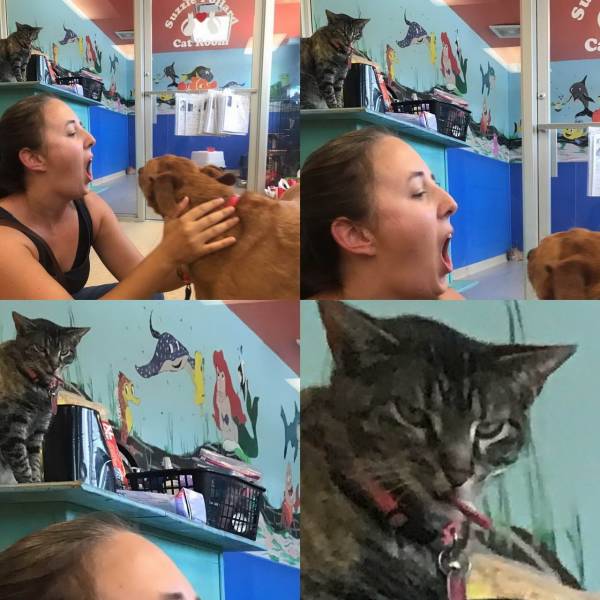 daily picdump 95 pics 2.html - 95 HD Photos | Premium Gallery 2019