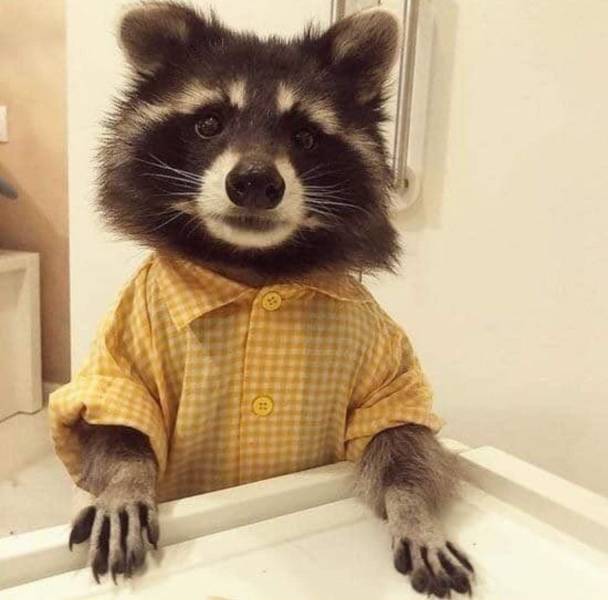 daily picdump 95 pics 2.html - 95 HD Photos | Premium Gallery 2019