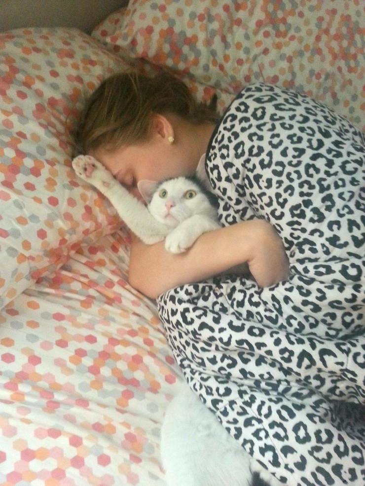 Daily Picdump