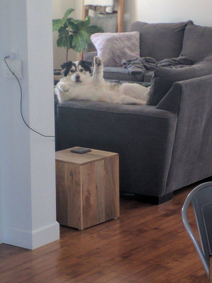 daily picdump 95 pics 2.html - 95 HD Photos | Premium Gallery 2019