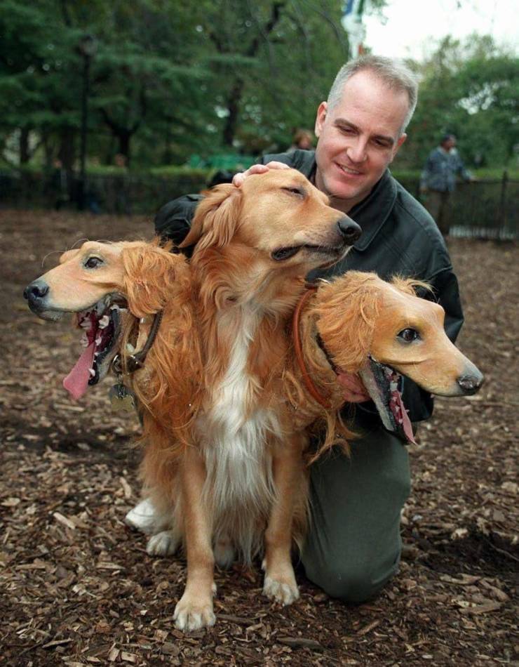 daily picdump 95 pics 2.html - 95 HD Photos | Premium Gallery 2019