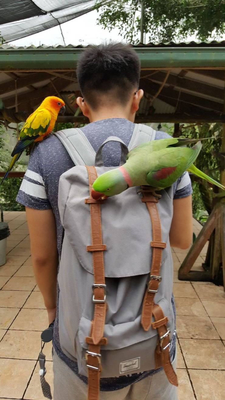 daily picdump 95 pics 2.html - 95 HD Photos | Premium Gallery 2019