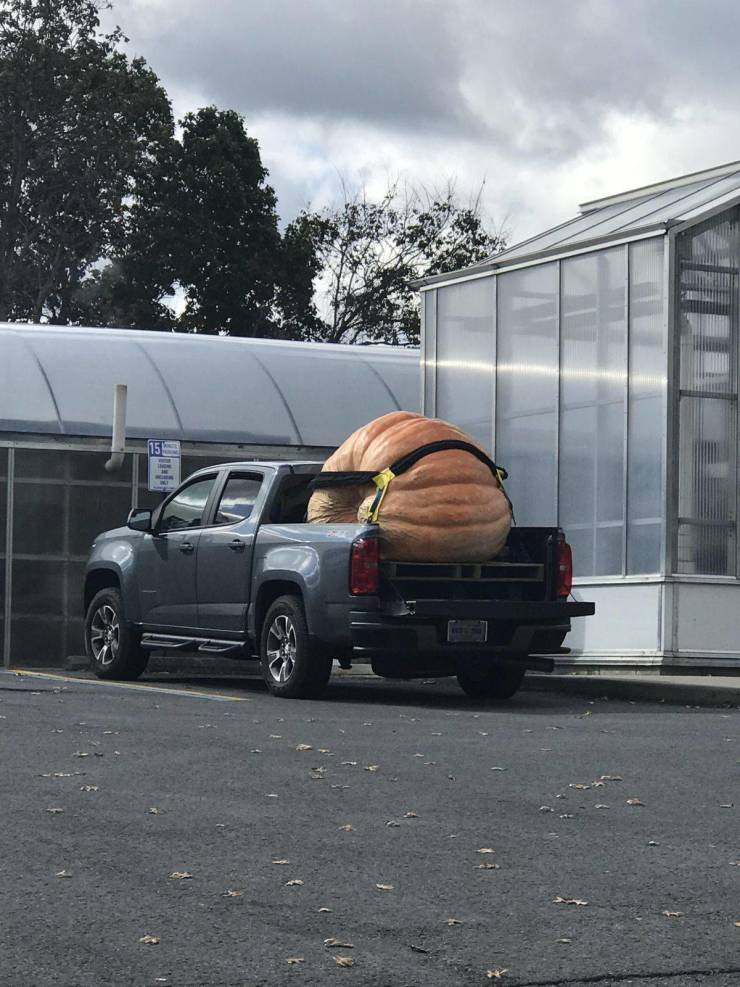 daily picdump 95 pics 2.html - 95 HD Photos | Premium Gallery 2019