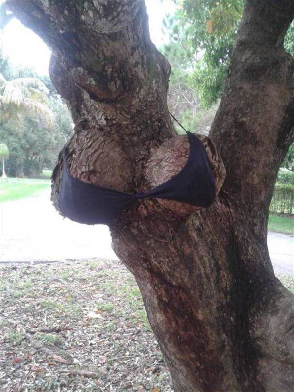 Dirty Mind, Come Here!