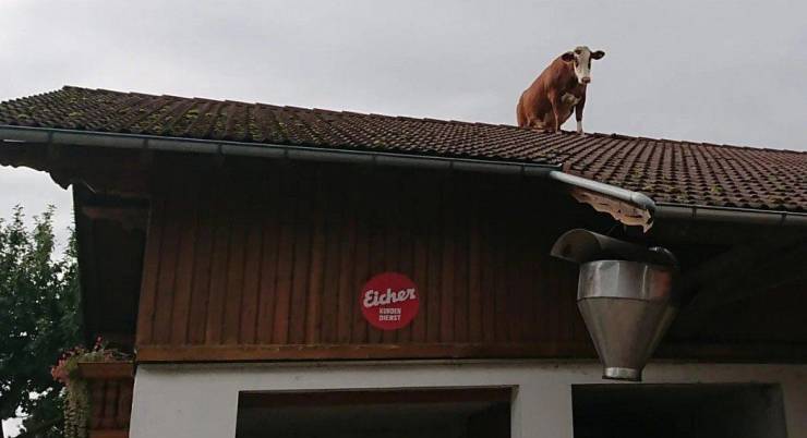 daily picdump 92 pics 1.html - 92 HD Photos | Premium Gallery 2019