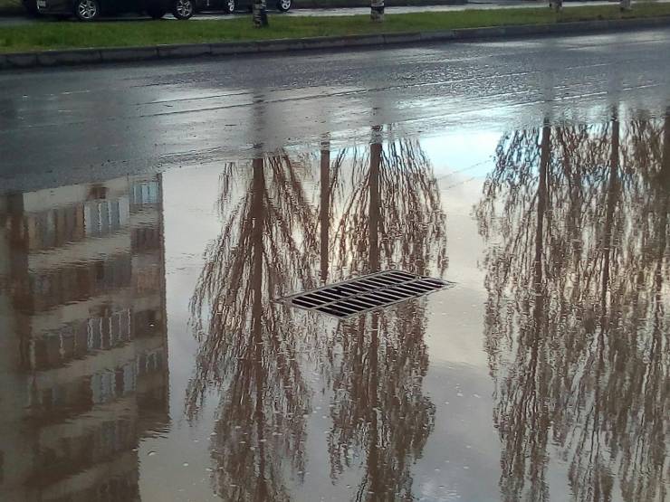 daily picdump 92 pics 1.html - 92 HD Photos | Premium Gallery 2019