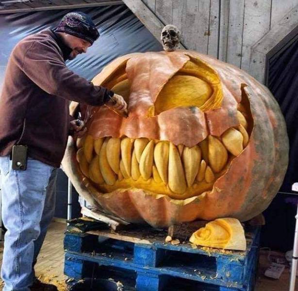 daily picdump 92 pics 1.html - 92 HD Photos | Premium Gallery 2019