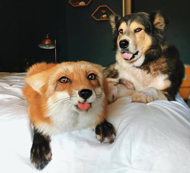 daily picdump 92 pics 1.html - 92 HD Photos | Premium Gallery 2019