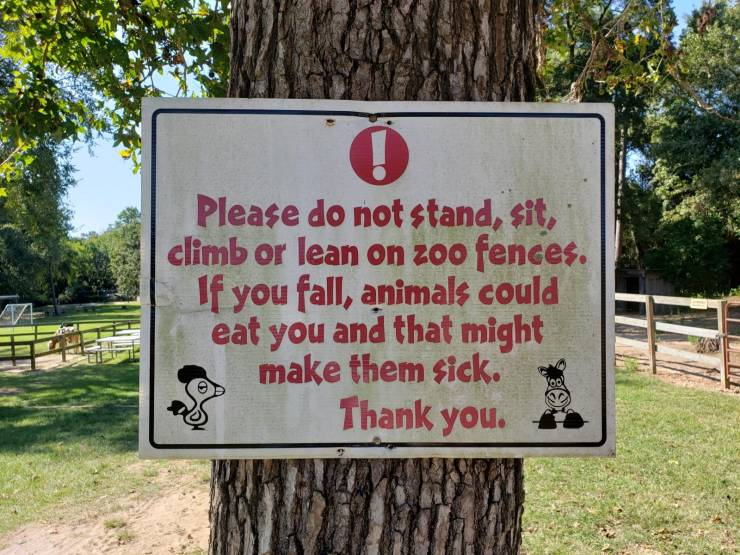 daily picdump 92 pics 1.html - 92 HD Photos | Premium Gallery 2019