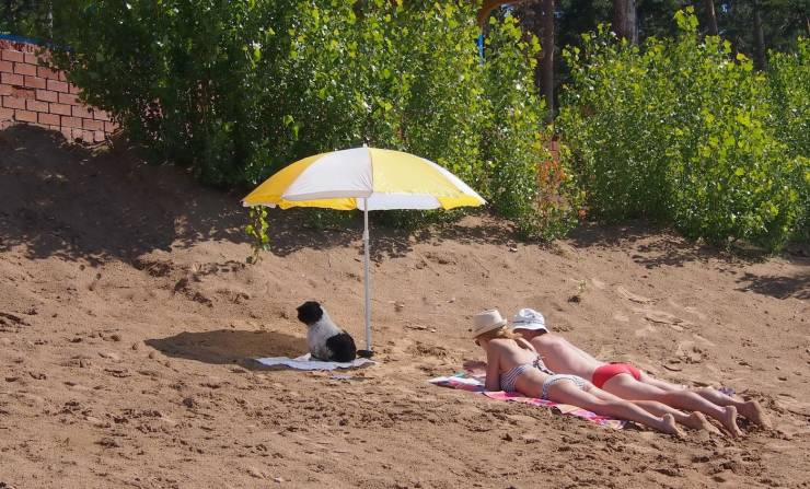 daily picdump 92 pics 1.html - 92 HD Photos | Premium Gallery 2019