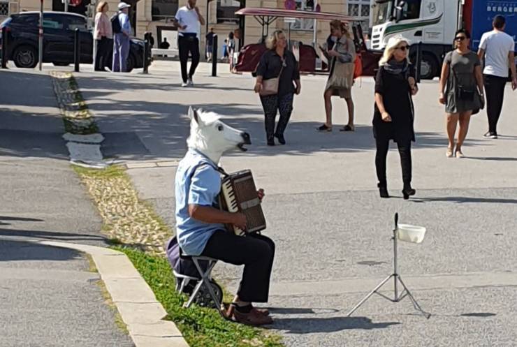 daily picdump 92 pics 1.html - 92 HD Photos | Premium Gallery 2019