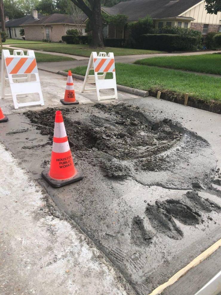 daily picdump 92 pics 1.html - 92 HD Photos | Premium Gallery 2019