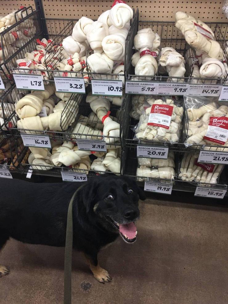 daily picdump 92 pics 1.html - 92 HD Photos | Premium Gallery 2019