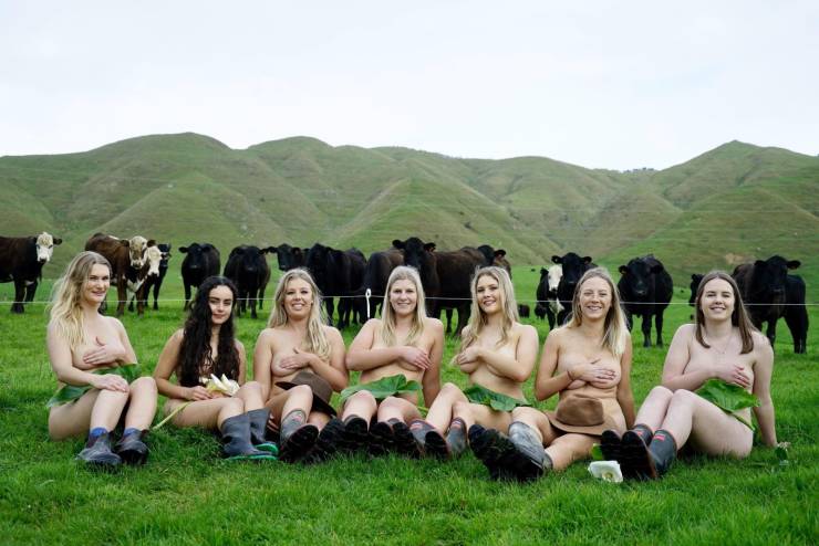 grownup corner 66 pics 19.html - 66 HD Photos | Premium Gallery 2019