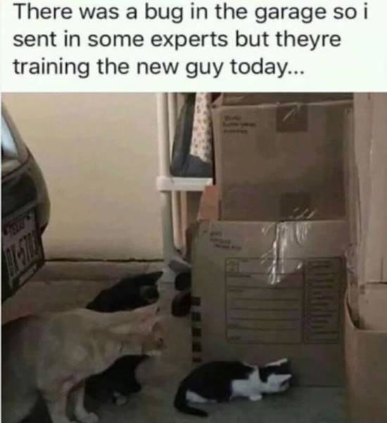 page,3,top 250 funny pics of the year 2019.html - 1 HD Photos | Premium Gallery 2019