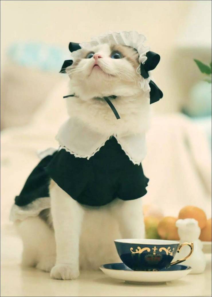 daily picdump 96 pics 33.html - 96 HD Photos | Premium Gallery 2019