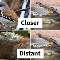 dirty mind come here 53 pics.html - 53 HD Photos | Premium Gallery 2020