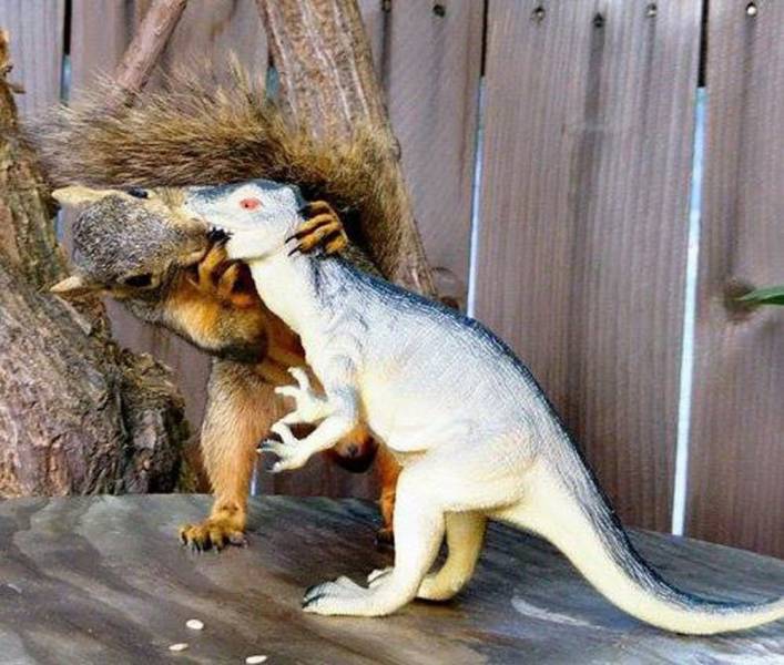 daily picdump 98 pics 11.html - 98 HD Photos | Premium Gallery 2019