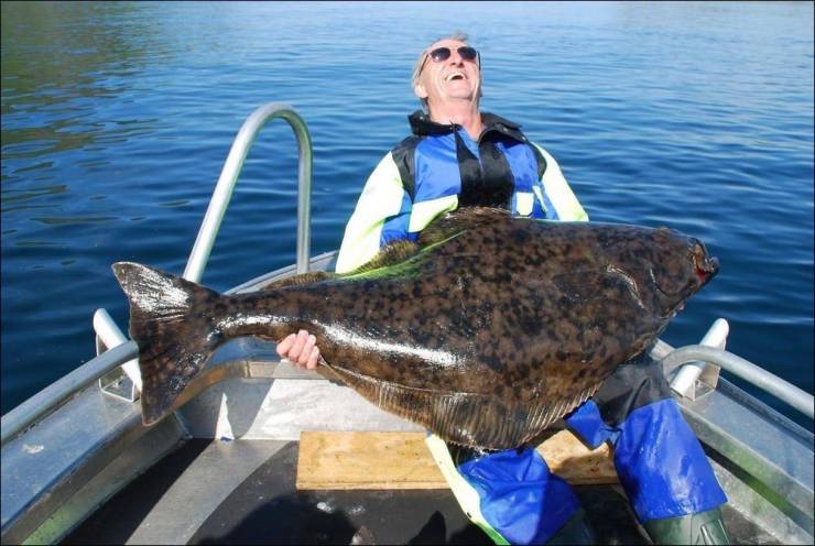 daily picdump 98 pics 11.html - 98 HD Photos | Premium Gallery 2019