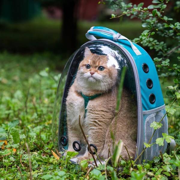 daily picdump 98 pics 11.html - 98 HD Photos | Premium Gallery 2019
