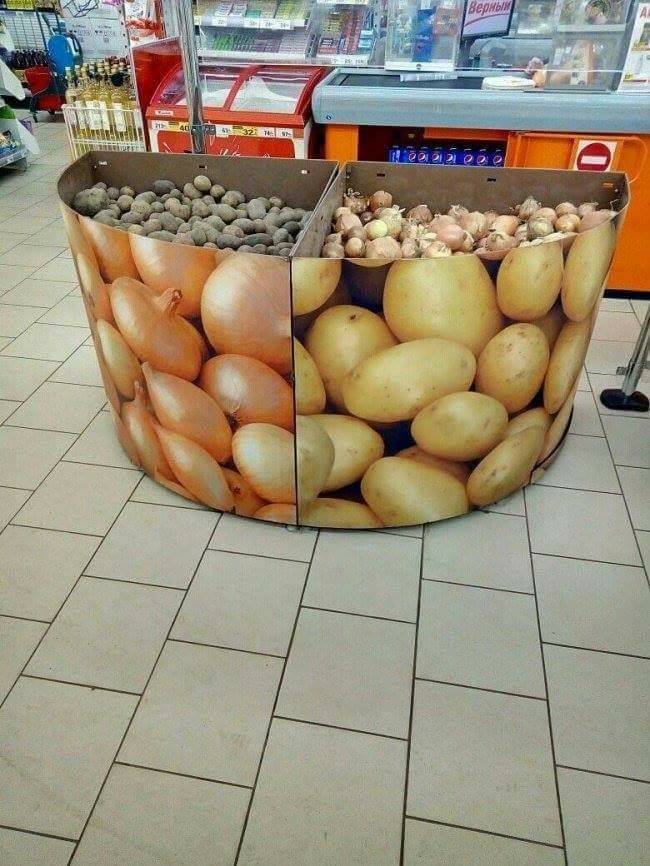 Daily Picdump