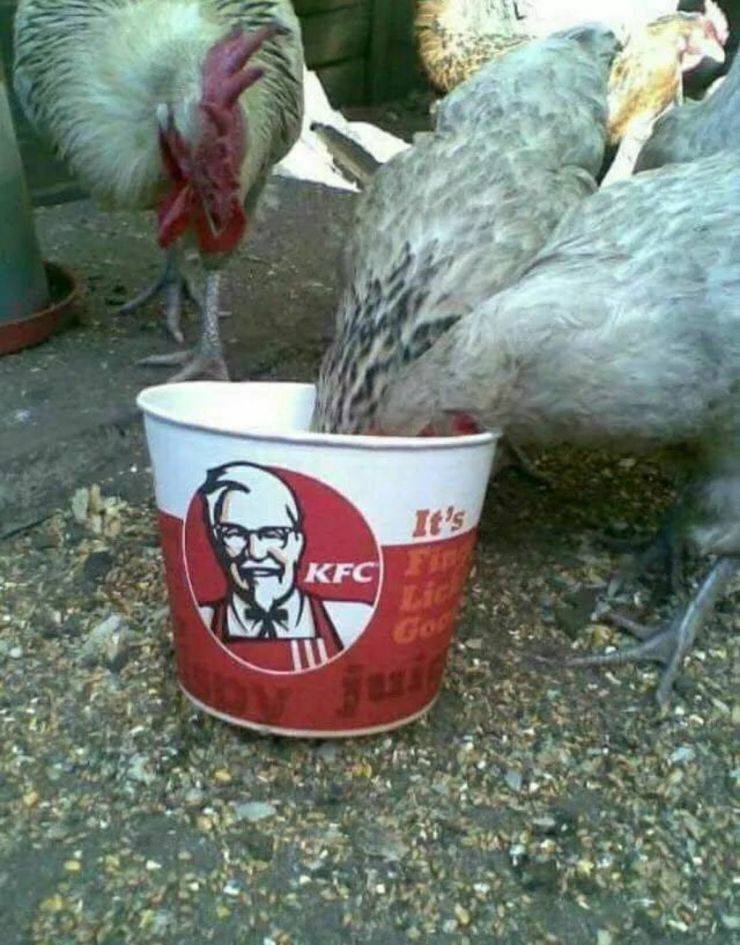 Daily Picdump