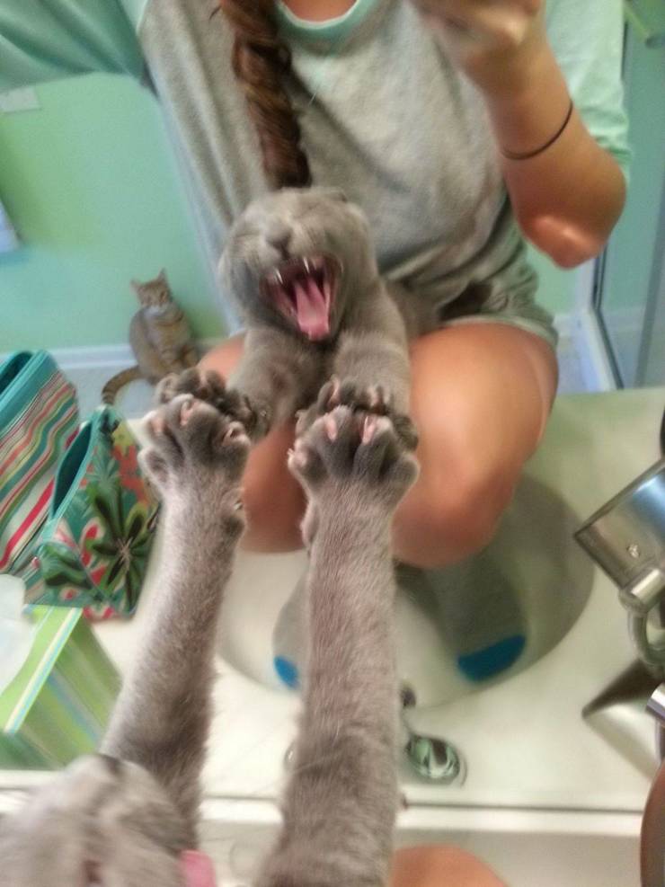 daily picdump 98 pics 11.html - 98 HD Photos | Premium Gallery 2019