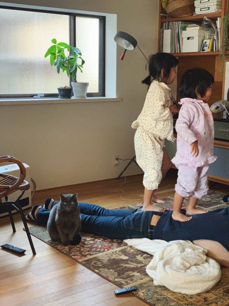 daily picdump 98 pics 11.html - 98 HD Photos | Premium Gallery 2019
