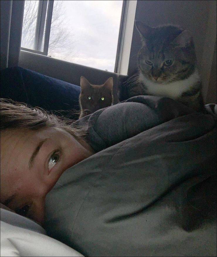daily picdump 98 pics 11.html - 98 HD Photos | Premium Gallery 2019