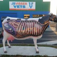 hot and hardcore tattooed girls 56 pics.html - 56 HD Photos | Premium Gallery 2020